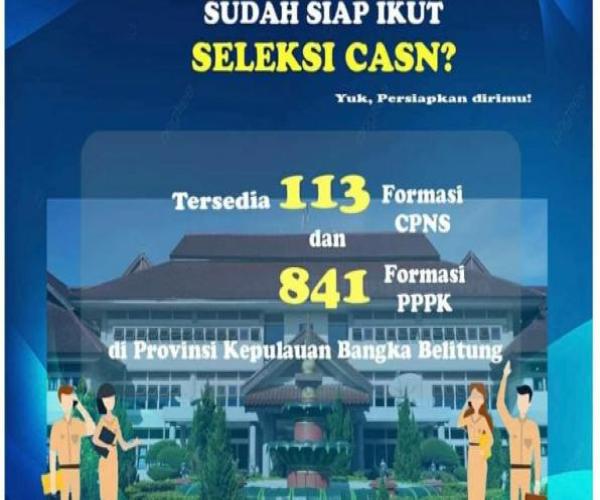 PENGUMUMAN PENERIMAAN PEGAWAI PEMERINTAH DENGAN PERJANJIAN KERJA PROVINSI KEPULAUAN BANGKA BELITUNG TAHUN 2021